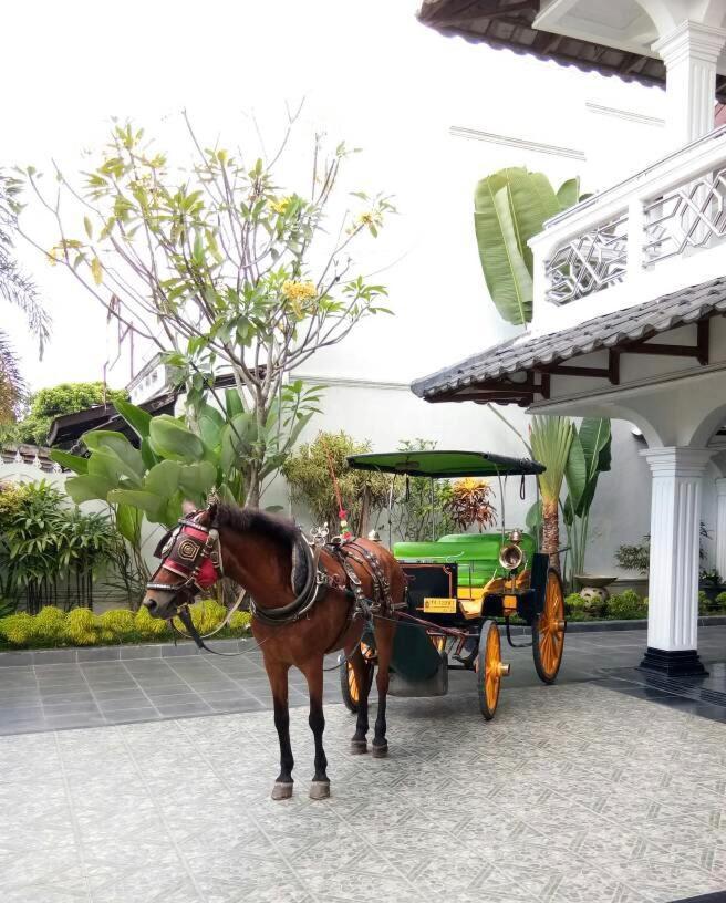 Raintree Boutique Villa & Gallery Yogyakarta Exteriör bild